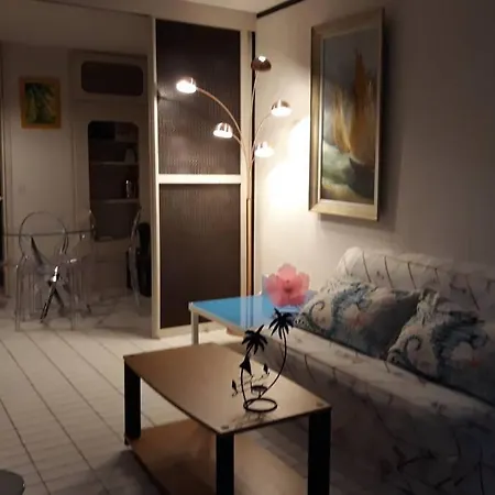 Apartment Le Cocon De Flo, Face A La Au Couchant *