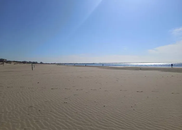 Apartamento Le Cocon De Flo, Face A La Au Couchant *